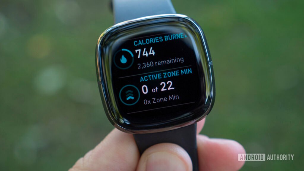 Fitbit smartwatch tracking steps and heart rate for weight loss progress