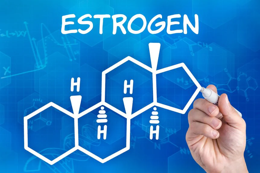 Estrogen Dominance: Symptoms, Causes, and Fixes