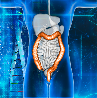 How to Enhance Gut Health Naturally: An Ultimate Guide