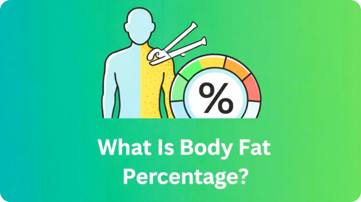 What Is Body Fat Percentage